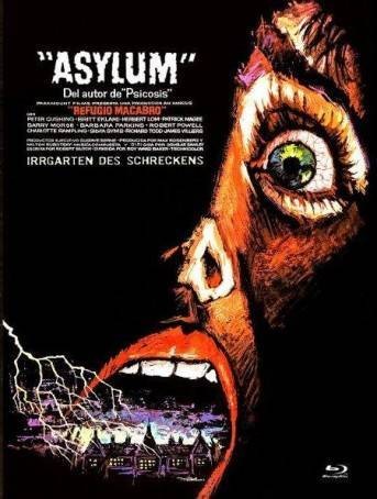 Asylum – X-rated DVD/BD Mediabook D Lim 333