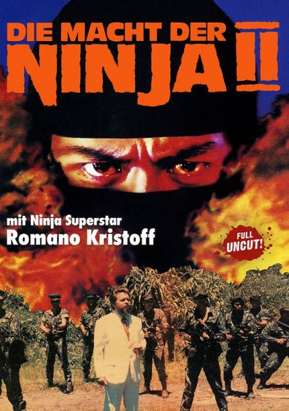 DIE MACHT DER NINJA 2 - DVD Amaray uncut
