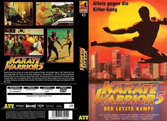 Karate Warrior V - gr Hartbox Lim 33