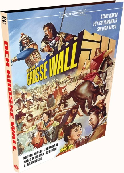 Der Grosse Wall - kl DVD Hartbox